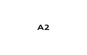 Audi A2