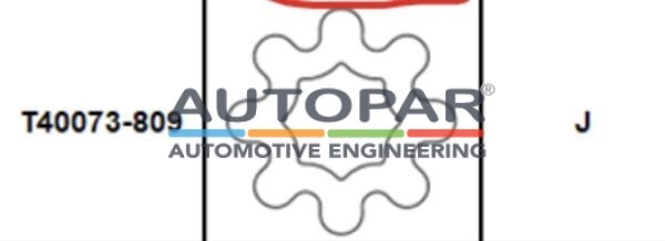 Audi-Anti-Diefstal-Wielbout-Adapter-J